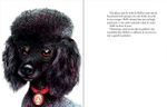 Poza cu Cea mai iubită surioară de Astrid Lindgren