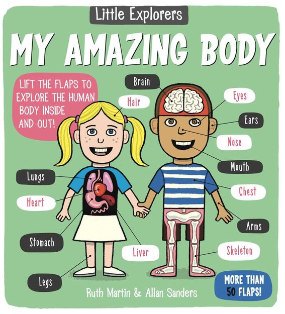 Poza cu Little Explorers: My Amazing Body by Ruth Martin & Allan Sanders