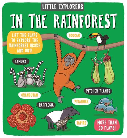 Изображение Little Explorers: In the Rainforest