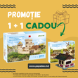 Picture of 1 + 1 Cadou (Set Hobby Castel + Set Hobby Cabană alpină)