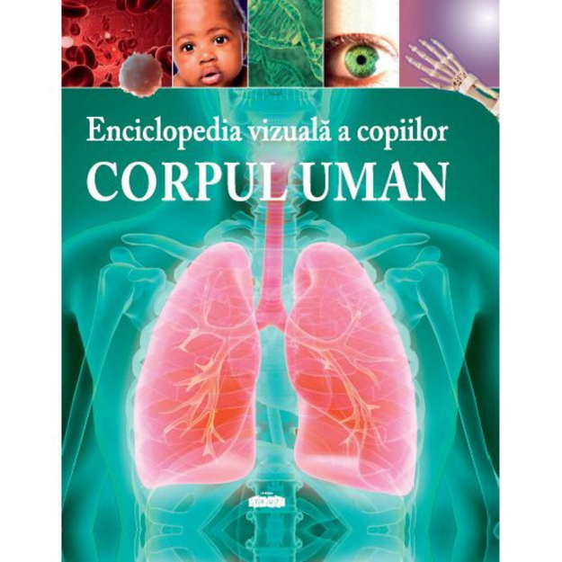 Poza cu Corpul uman (enciclopedia vizuală a copiilor)