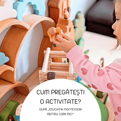 Cum pregătești o activitate? după „Educația Montessori pentru copii mici” Cum pregătești o activitate? după „Educația Montessori pentru copii mici”