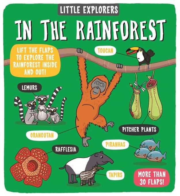 Изображение Little Explorers: In the Rainforest