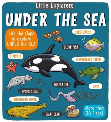 Picture of Little Explorers: Under the Sea