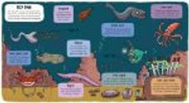 Изображение Little Explorers: Under the Sea
